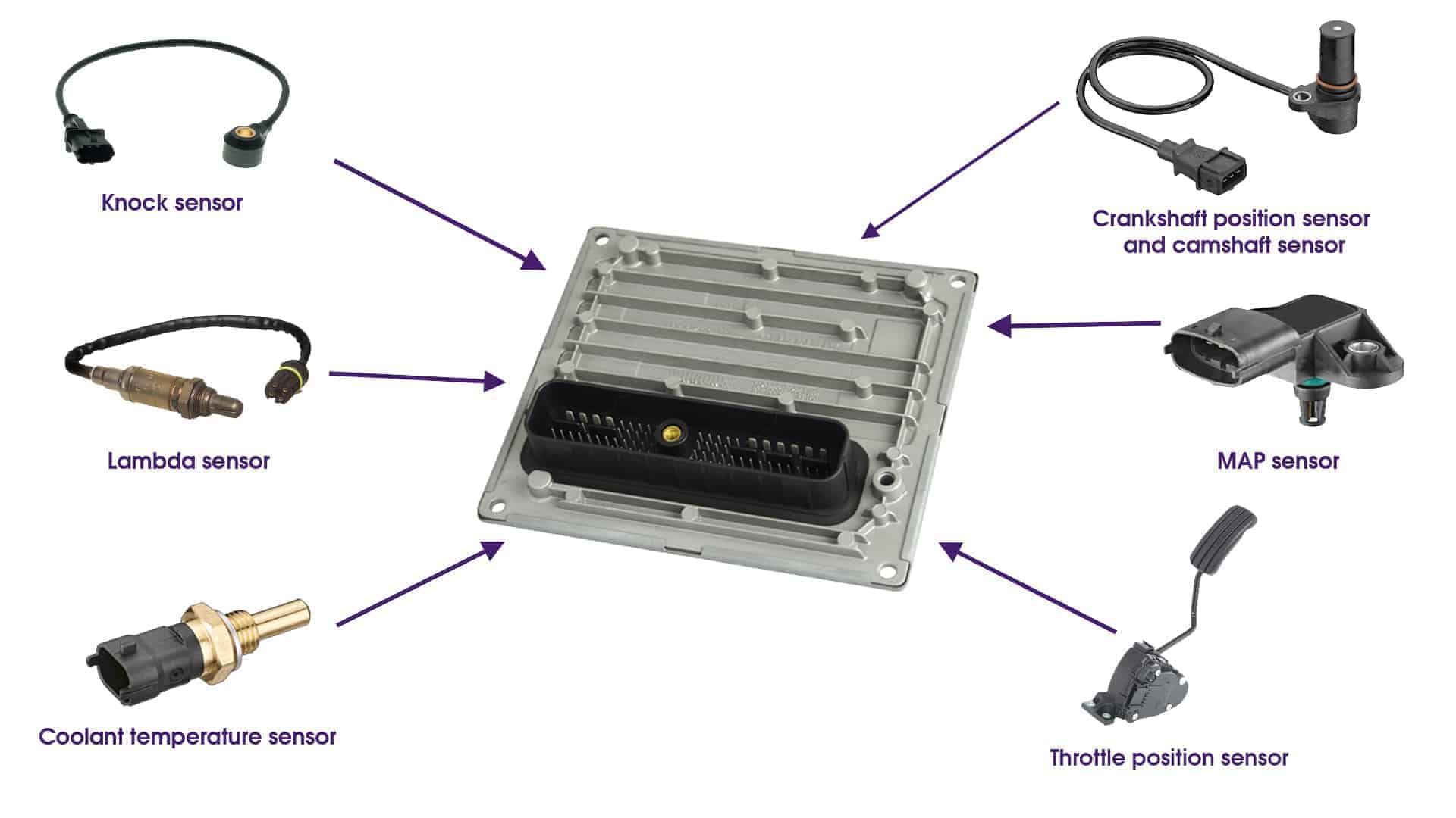Ford Control Module Compatibility Guide
