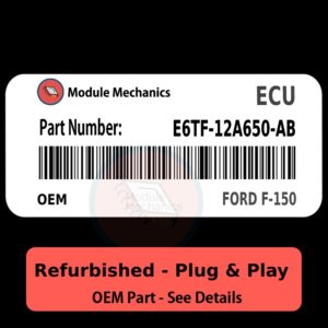 E6TF-12A650-AB ECU - PLUG & PLAY | Ford F-150 | ECM PCM BCM Engine Control Computer OEM