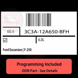 3C3A-12A650-BFH / EEC-V ECU with PROGRAMMING - VIN & Security | Ford Excursion | F-250  | ECM PCM Engine Control Computer OEM